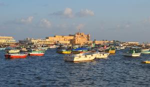 egypt alexandria tour places