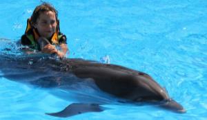 egypt Sharm El Sheikh tour places