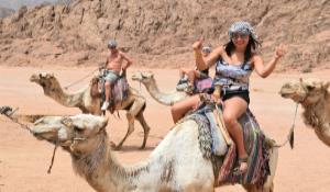 egypt Sharm El Sheikh tour places