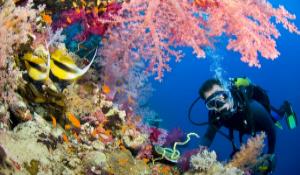 egypt Sharm El Sheikh tour places